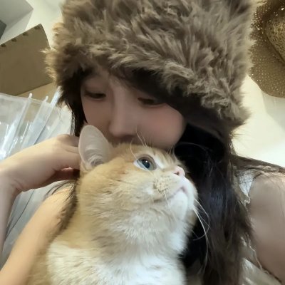 灰姑娘的全新冒险